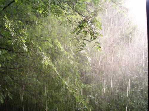 погода по месяцам в муйне