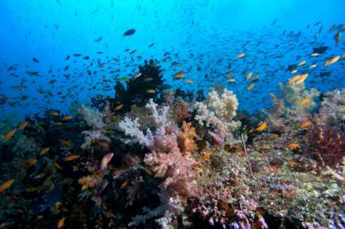 отдых в дивноморске 2018: описание, как добраться, пляжи и гостиницы дивноморска отдых в дивноморске 2018: описание, как добраться, пляжи и гостиницы дивноморска