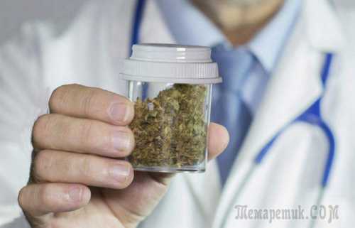 7 альтернативных клиентов twitter для android, которые стоит попробовать 7 альтернативных клиентов twitter для android, которые стоит попробовать