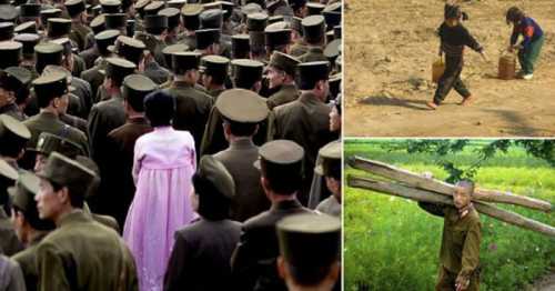 5 самых экстремальных железных дорог в мире