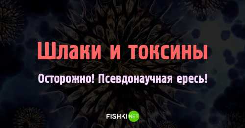 очищение печени с помощью оливкового масла очищение печени с помощью оливкового масла