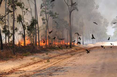 нейронную сеть научили испытывать эмоции нейронную сеть научили испытывать эмоции