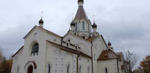 иконы дизайна модные стулья современности: бренды и стоимость иконы дизайна модные стулья современности: бренды и стоимость