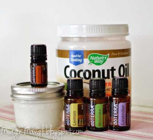 полезная и вкусная еда: 5 рецептов по кэмпбеллу