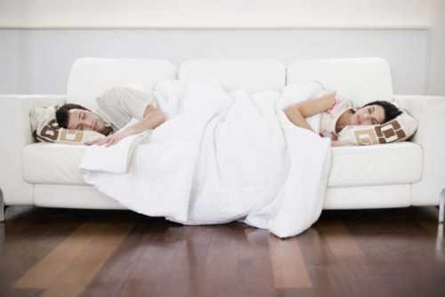 она сделала массаж своему коту взгляните, как питомец отблагодарил свою хозяйку