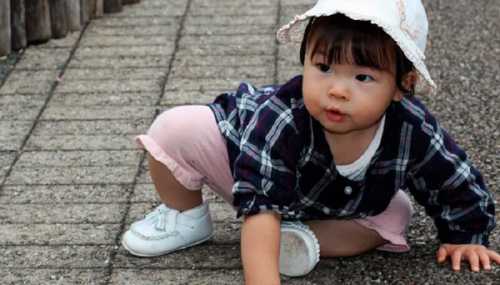 как японцы снижают расходы как японцы снижают расходы