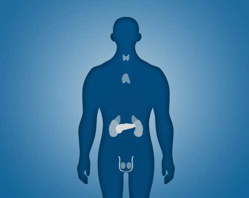 препараты для тела препараты для тела