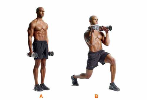 упражнение кошка