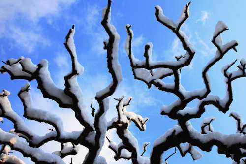 признаки токсичной дружбы: 7 показателей разрушительного общения